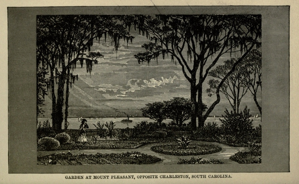 GARDEN AT MOUNT PLEASANT, OPPOSITE CHARLESTON, SOUTH CAROLINA.