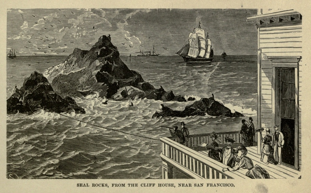 SEAL ROCKS, FROM THE CLIFF HOUSE, NEAR SAN FRANCISCO.