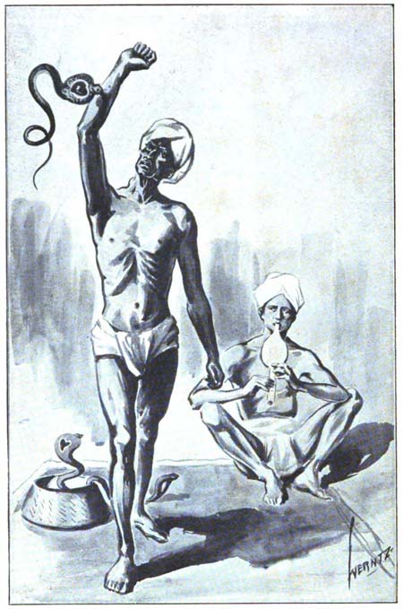 IT HAD FIXED ITS FANGS UPON THE OLD
 MAN’S ARM