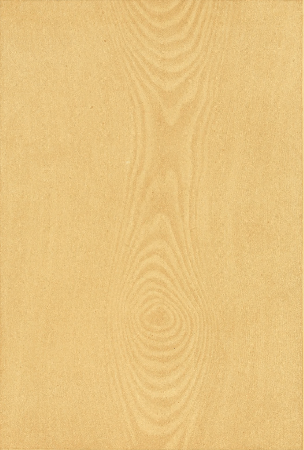 Plate 12. HEART OF LIGHT ASH, WIPED OUT.