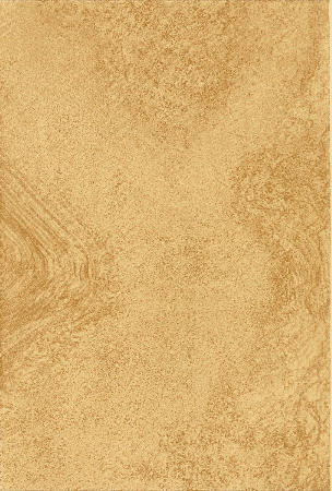 Plate 16. BURL ASH, IN WATER COLOR.