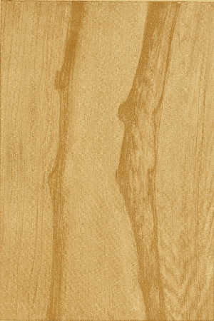 Plate 17. DARK ASH, PENCILLED AND COMBED.