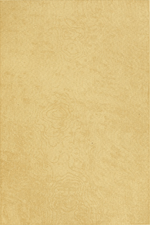 Plate 19. BIRD'S-EYE MAPLE, OVERGRAINED.