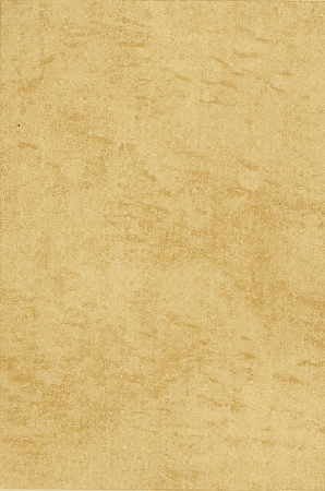 Plate 22. BIRD'S-EYE MAPLE WITH THE EYES.