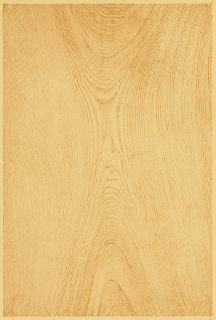 Plate 45. CYPRESS IN OIL.