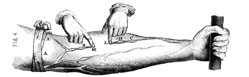 [Image unavailable.]