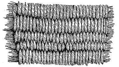 Twined fabric from ancient pottery, Carter county, Tennessee.