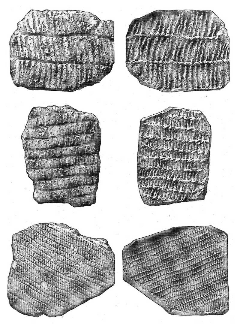 BITS OF FABRIC-MARKED POTTERY, WITH CLAY CASTS OF SAME