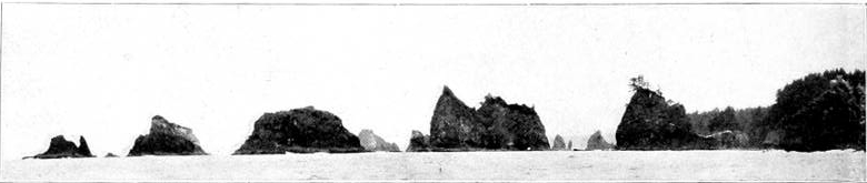 Taken in Clallam County. Photo by the Author.
POINT-OF-THE-ARCHES GROUP, A CHARACTERISTIC HAUNT OF THE RAVEN.