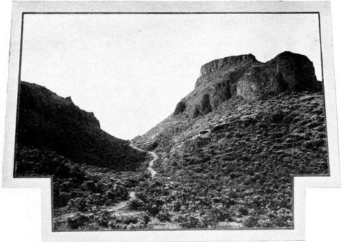 Taken in Walla Walla County. Photo by the Author.
NESTING HAUNT OF THE MEXICAN RAVEN.