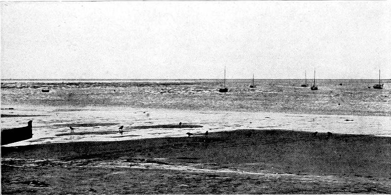 Photo by the Author.
BIRDS AND BOATS AT NEAH BAY.