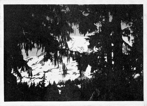 Photo by W. Leon Dawson.
THE DRAPERIES OF PARADISE.
RAINIER AS SEEN BY THE SISKIN.