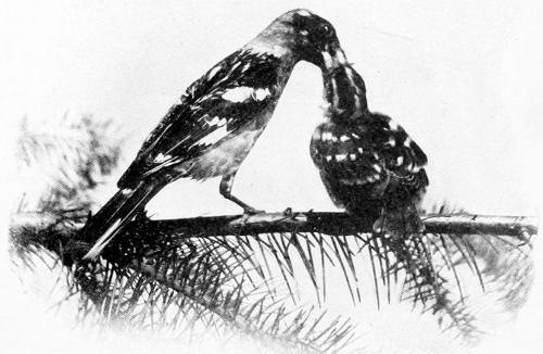 Taken in Oregon. Photo by Finley and Bohlman.
REALIZATION.