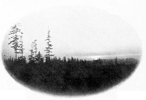 Taken in Seattle. Photo by the Author.
SUNSET AT THE ROBIN ROOST.