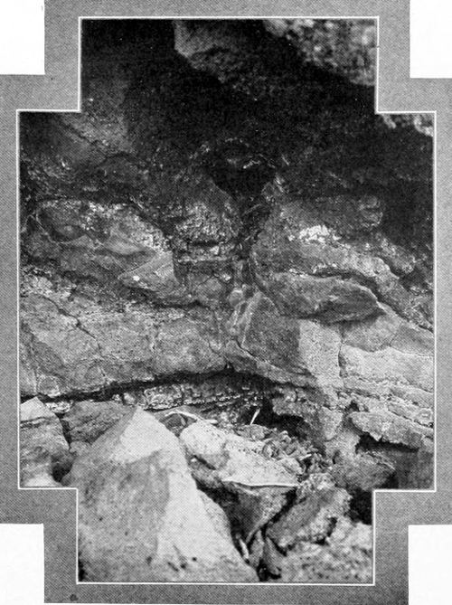 Taken in Douglas County. Photo by the Author.
NESTING-SITE OF ROCK WREN IN BASALT CLIFF.
THE NEST OCCUPIES THE UPPER CRANNY BUT THE “FRONT WALK” IS COMPLETED BELOW.