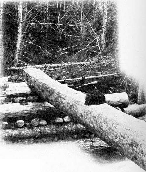 Taken in Oregon. Photo by A. W. Anthony.
AN UNSHELTERED NEST.