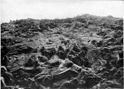 Taken in Douglas County. Photo by the Author.
A NESTING CLIFF, FROM BELOW.