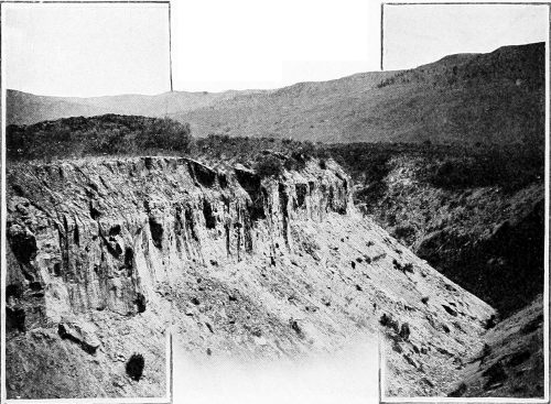 Taken near Chelan. Photo by the Author.
NESTING SITE OF THE BANK SWALLOW.