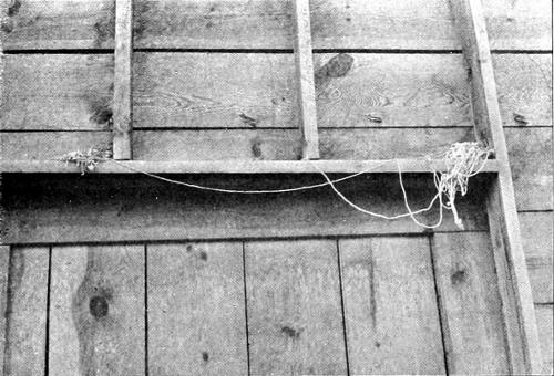 Taken at Stratford. Photo by the Author.
A DIVIDED HOUSE.