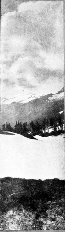 Taken in Chelan County. Photo by the Author.
CASCADE PASS.
WHERE BLACK SWIFTS HAVE BEEN SEEN.