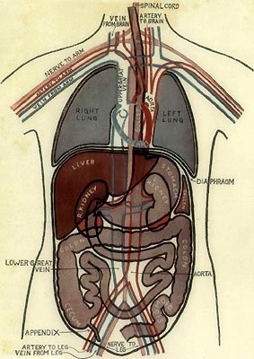 OUTLINE DIAGRAM SHOWING GENERAL PLAN AND POSITION OF
BODY-MACHINERY